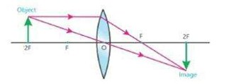 Axon